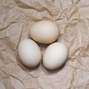 Eggs